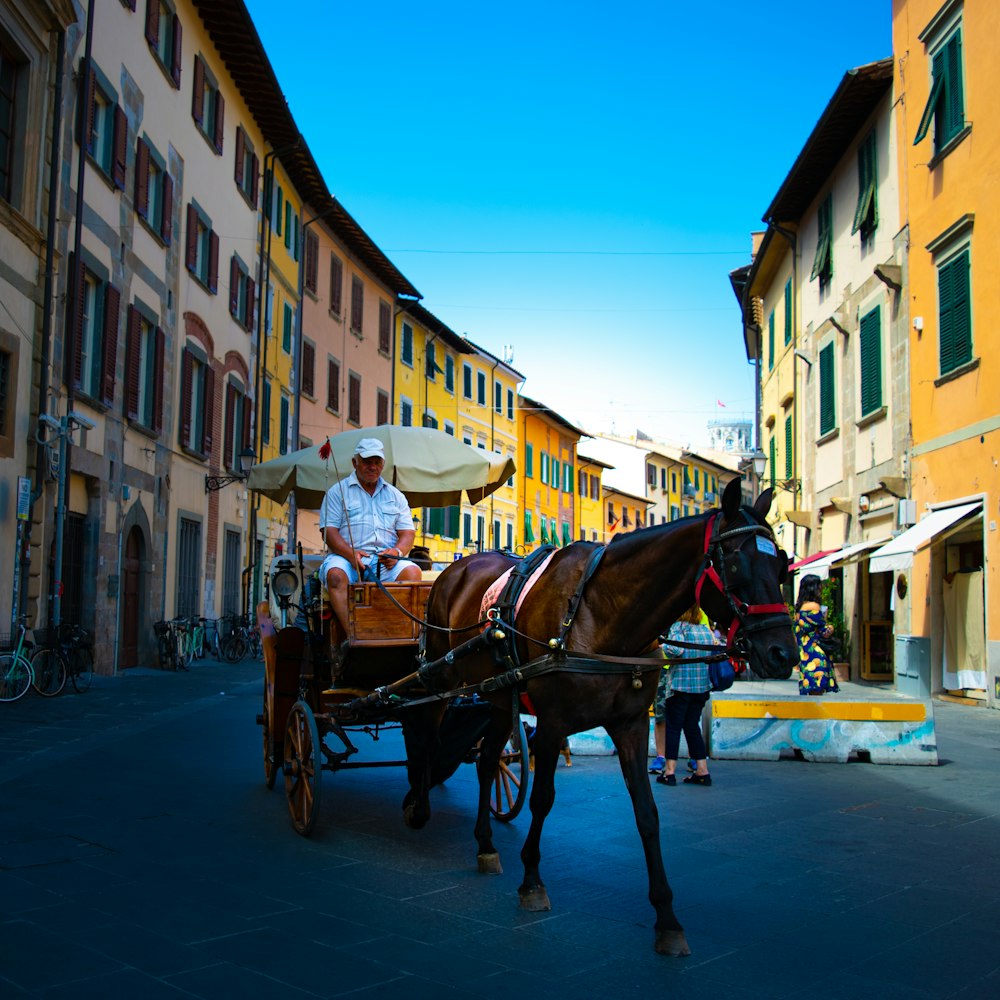 man riding chariot