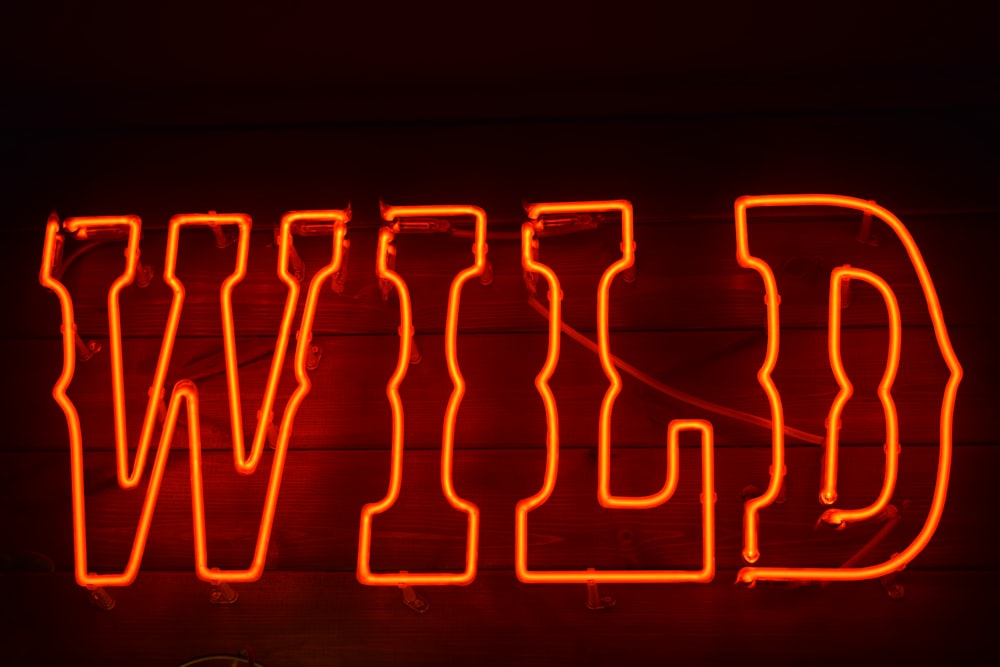 orange Wild neonlight