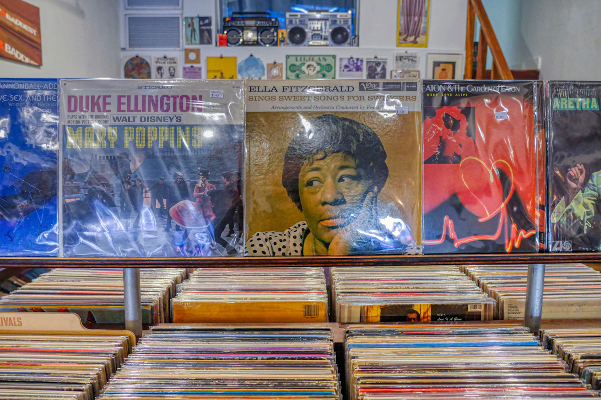 Vinyl records displayed in a record shop