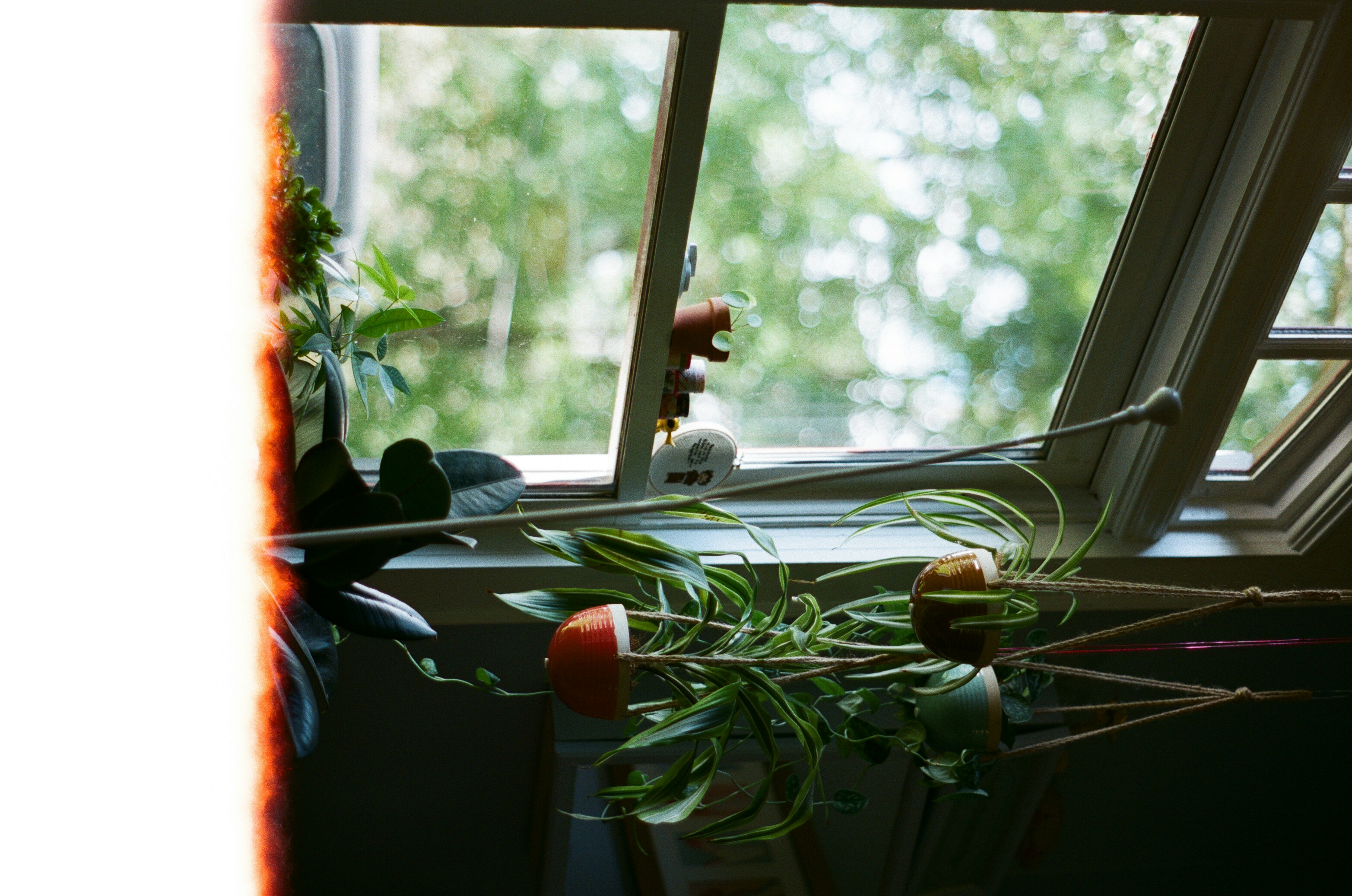 Photo by madisonofrielphoto