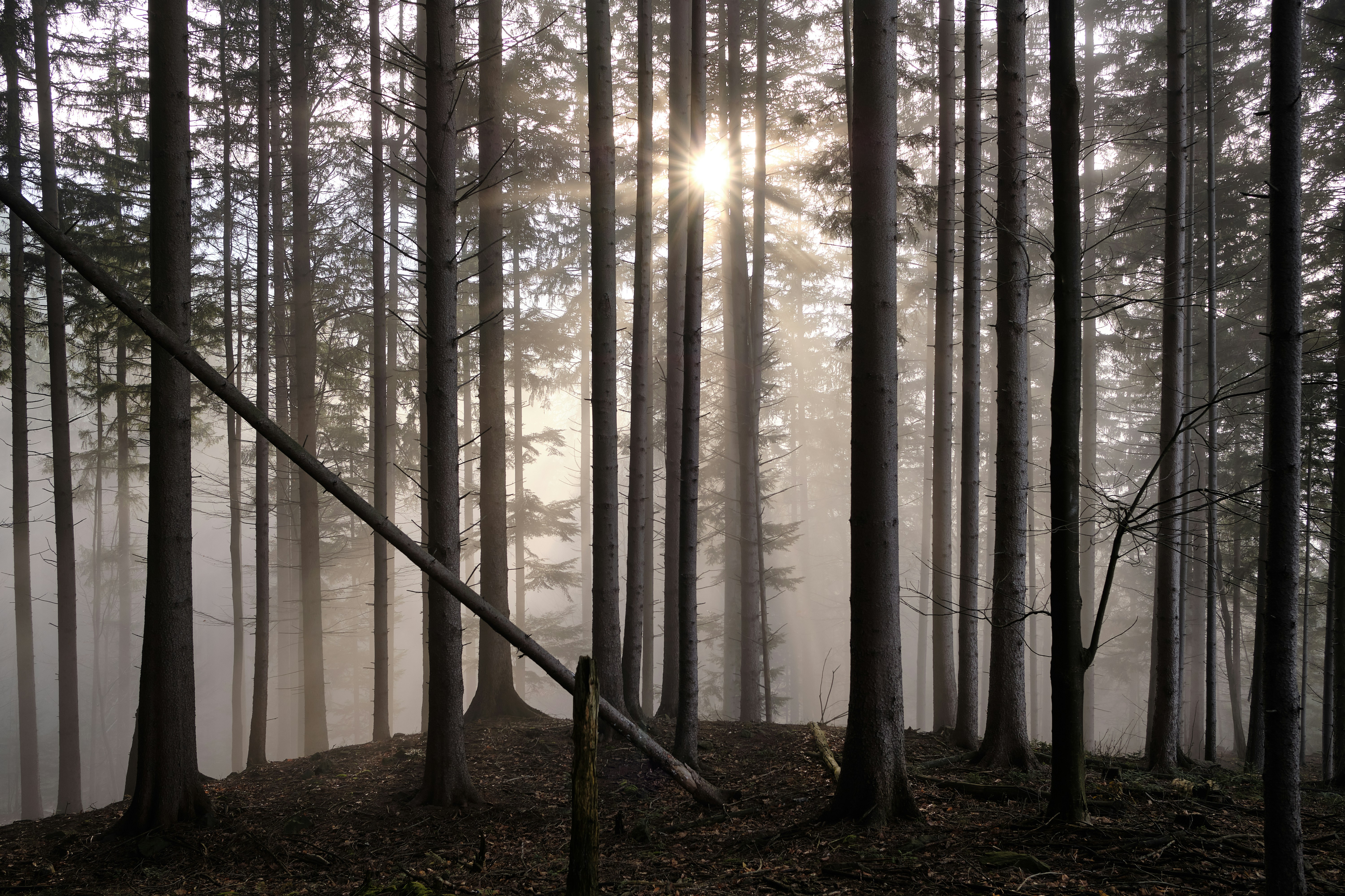 Photo by kristjankotar