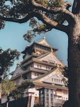 white and black Japanese Castle