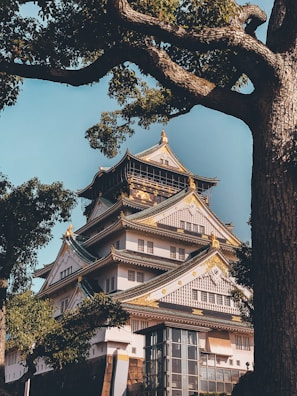 white and black Japanese Castle