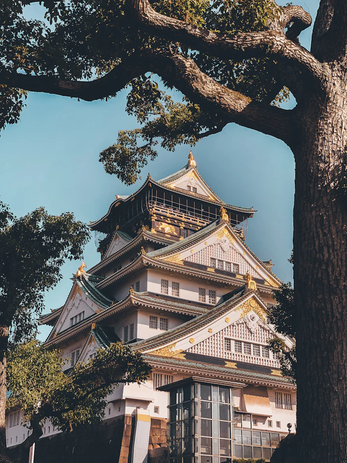 Weiße japanische Burg