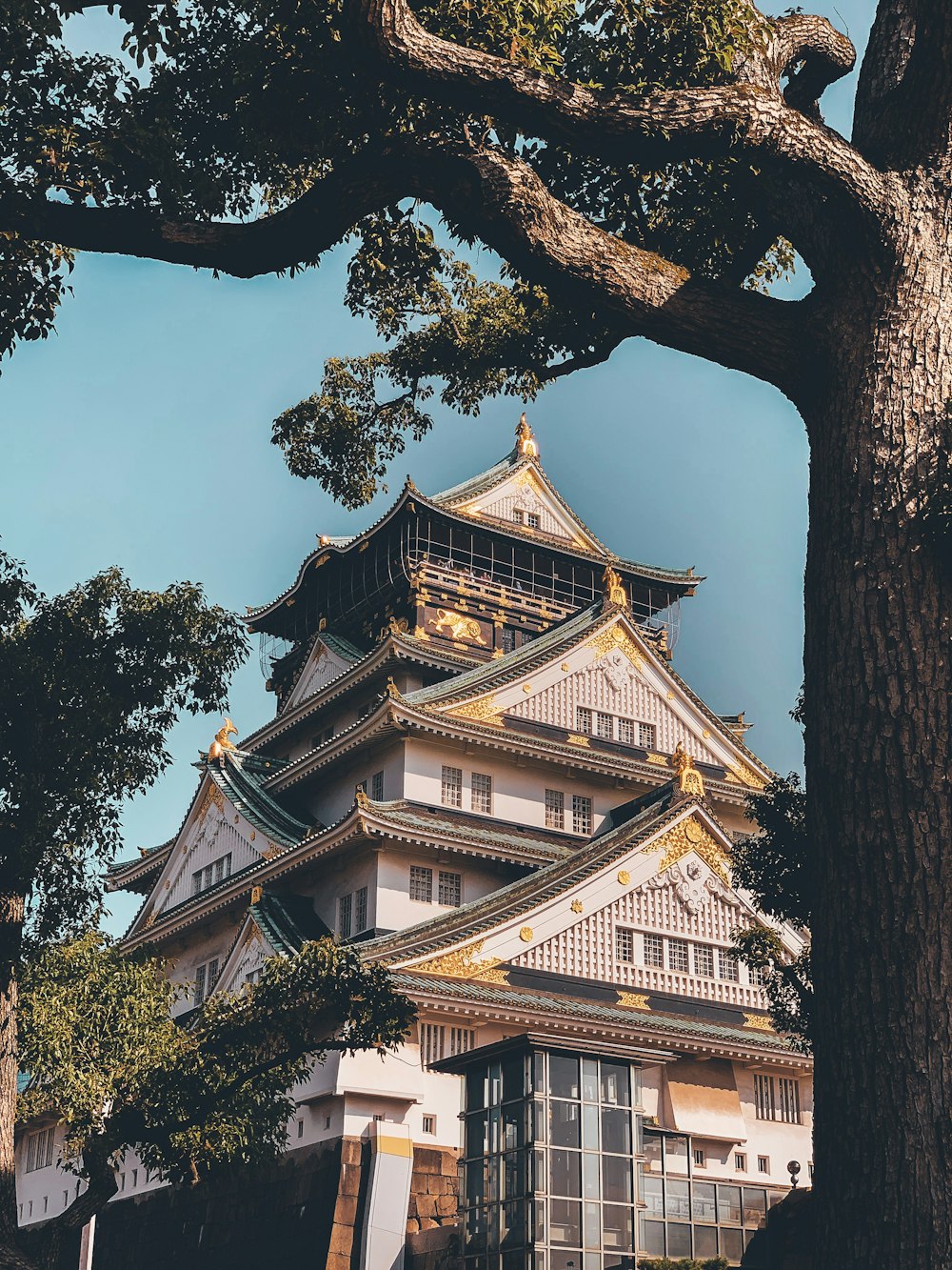white and black Japanese Castle