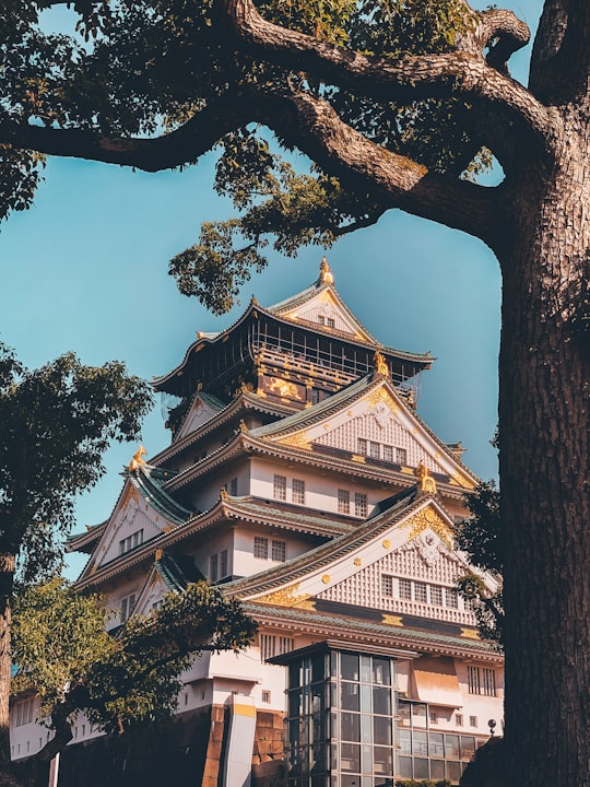 white and black Japanese Castle in Osaka Castle Japan