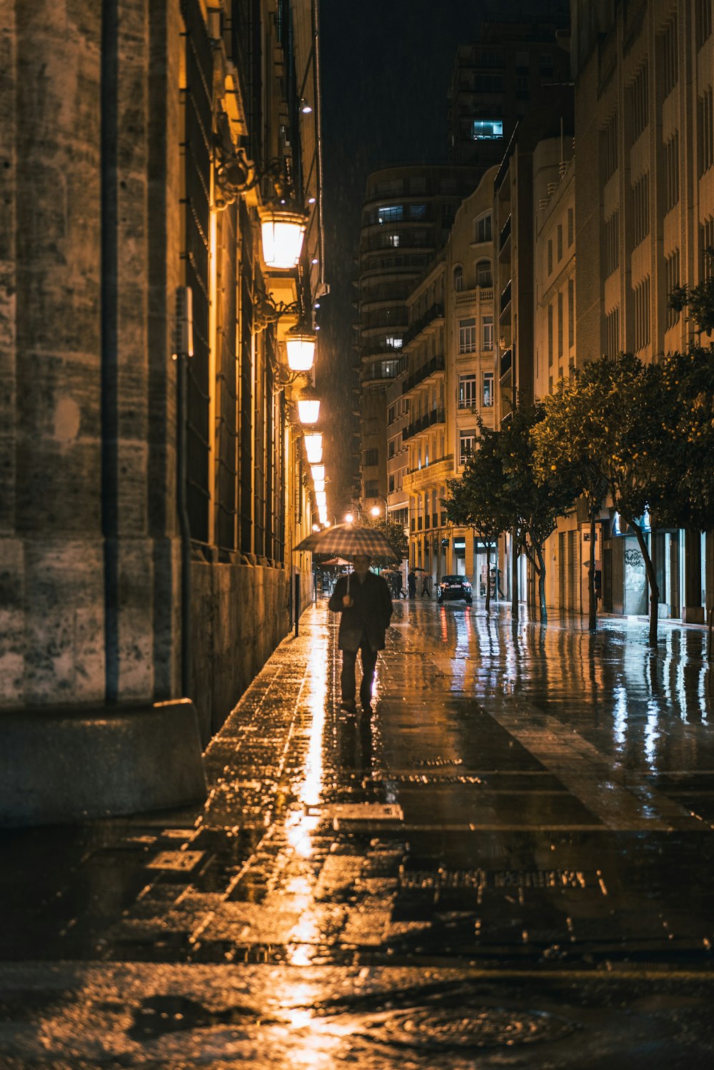 person with umbrella walking on street
