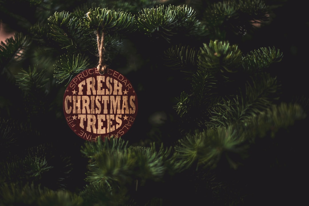 Fresh Christmas Trees label on pine