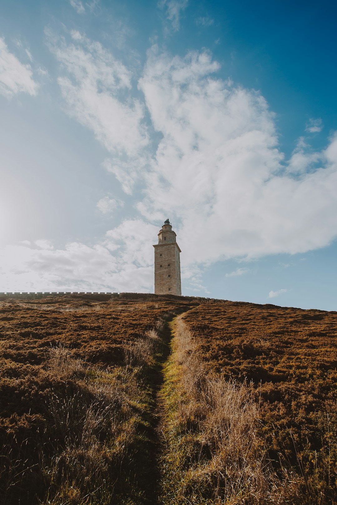 brown concrete tower