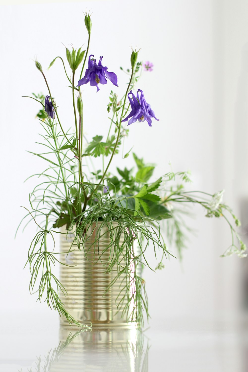 purple flowers in silver vase