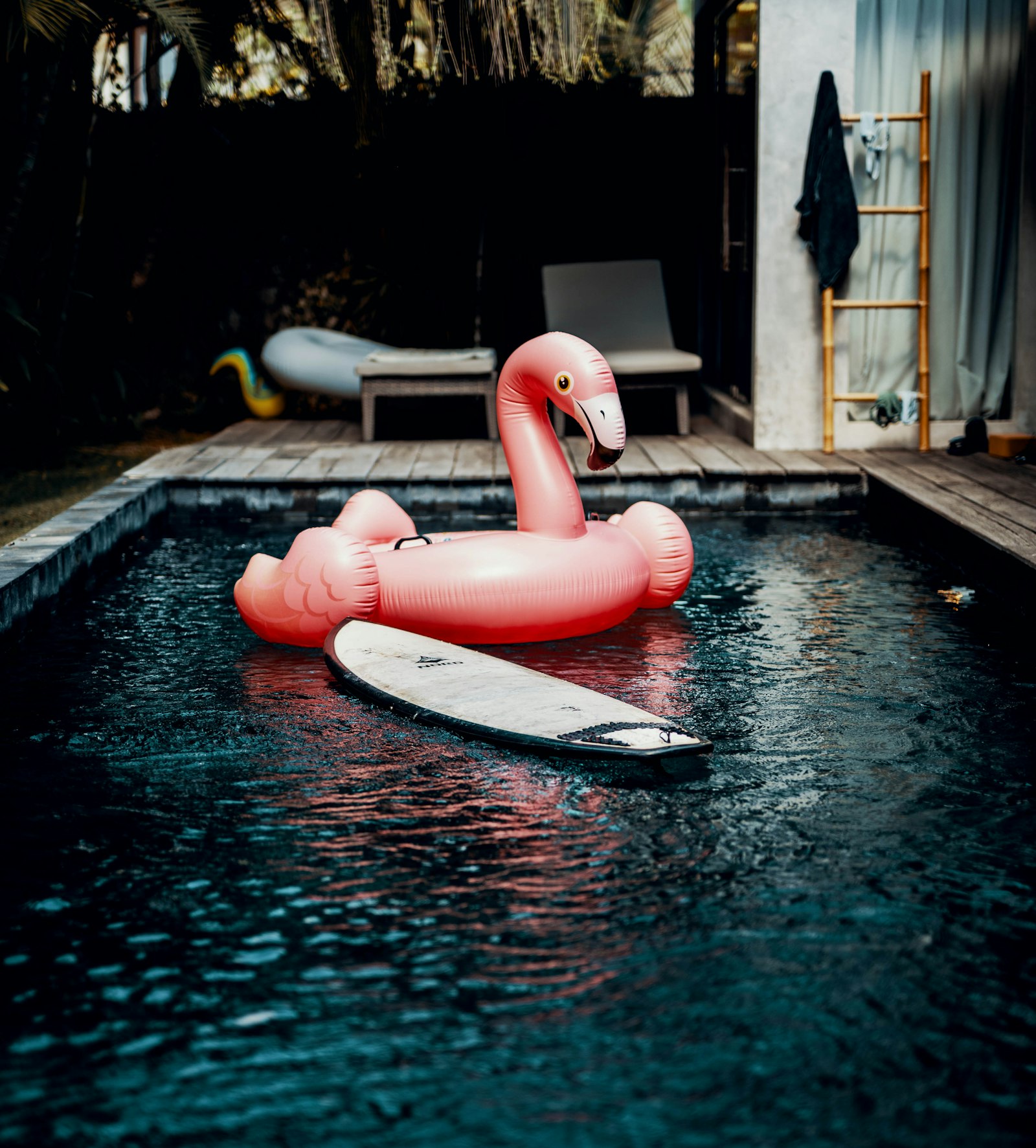 Sony a7 III + Sigma 50mm F1.4 DG HSM Art sample photo. Pink flamingo floating ring photography