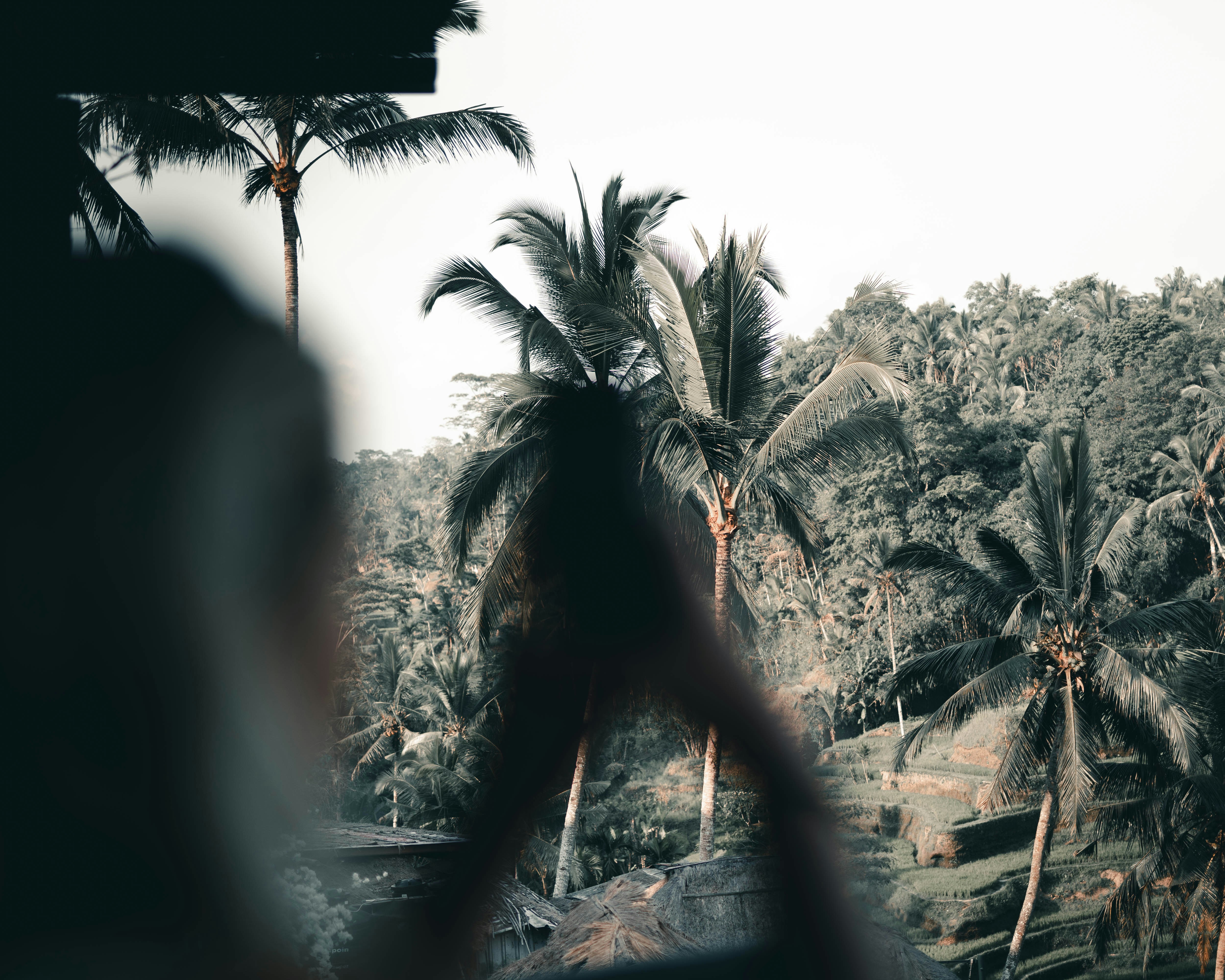 Photo by viklundvisuals