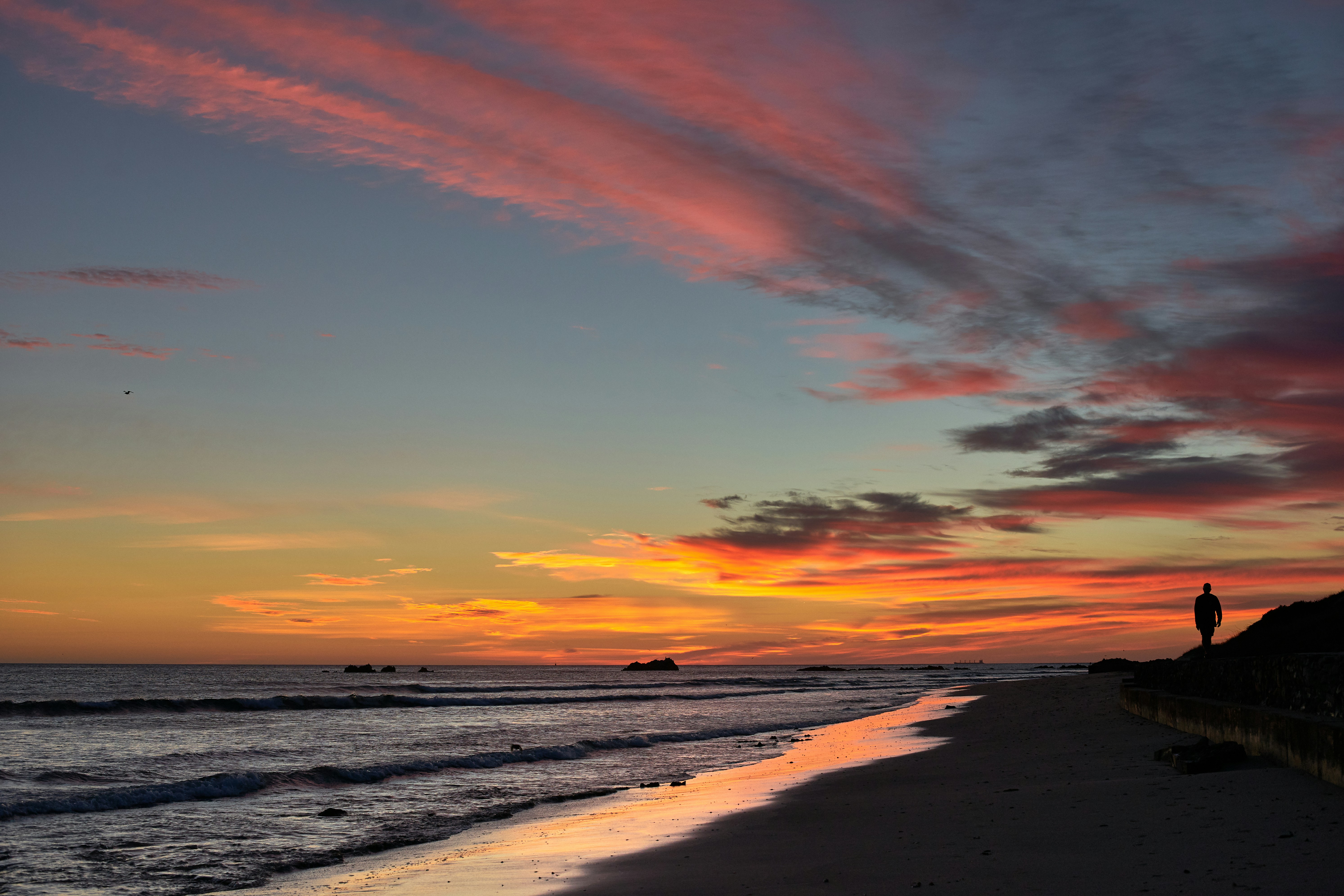 Photo by wolfgang_hasselmann