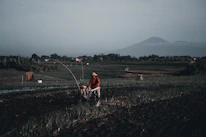 A farmer adjusting settings on the DIFER machine while standing in a lush green crop field.