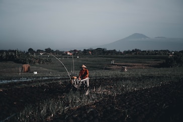 A person wearing a conical hat operates a machine in a field with rows of planted crops. The scene is set in a vast agricultural landscape with a distant mountain visible in the background under a clear sky.