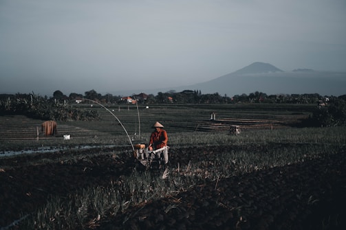 A person wearing a conical hat operates a machine in a field with rows of planted crops. The scene is set in a vast agricultural landscape with a distant mountain visible in the background under a clear sky.