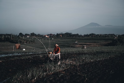A person wearing a conical hat operates a machine in a field with rows of planted crops. The scene is set in a vast agricultural landscape with a distant mountain visible in the background under a clear sky.