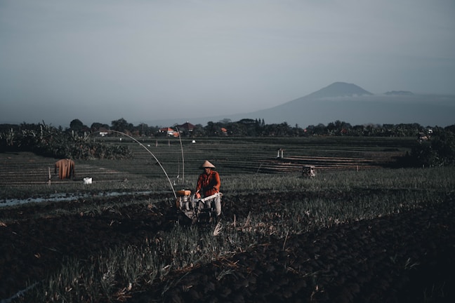 A person wearing a conical hat operates a machine in a field with rows of planted crops. The scene is set in a vast agricultural landscape with a distant mountain visible in the background under a clear sky.
