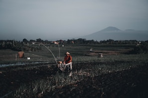 A person wearing a conical hat operates a machine in a field with rows of planted crops. The scene is set in a vast agricultural landscape with a distant mountain visible in the background under a clear sky.