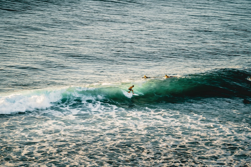 man surfing on big waves