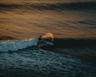 A surfer riding a powerful wave at sunset, with vibrant colors reflecting on the water.