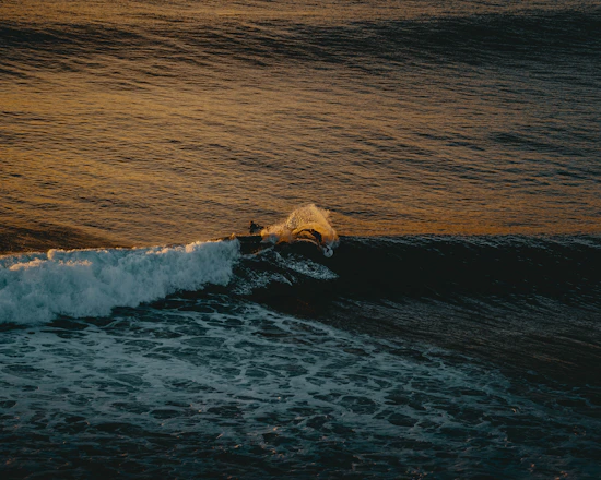 Surfer catching a wave at Playa de la Laja in Gran Canaria during golden hour.