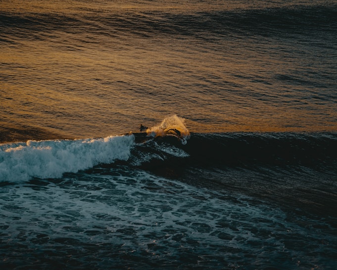 A surfer rides a wave during a golden sunset, with the light creating warm reflections on the water. The wave breaks smoothly, and the water's movement is dynamic and powerful.