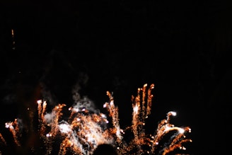 Bright fireworks burst in the night sky with vibrant trails of orange and white sparks. The dark background accentuates the vividness of the fireworks, creating a dazzling and lively visual spectacle.