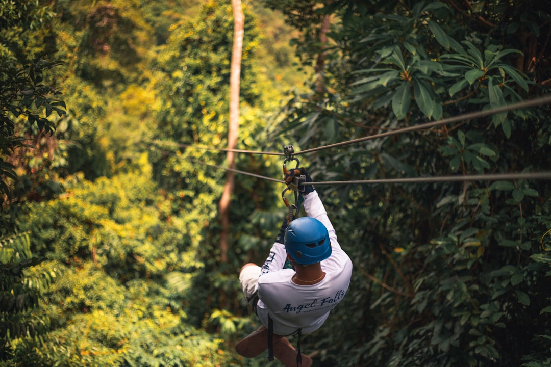 travelers stories about Forest in Angel Falls Belize, Belize