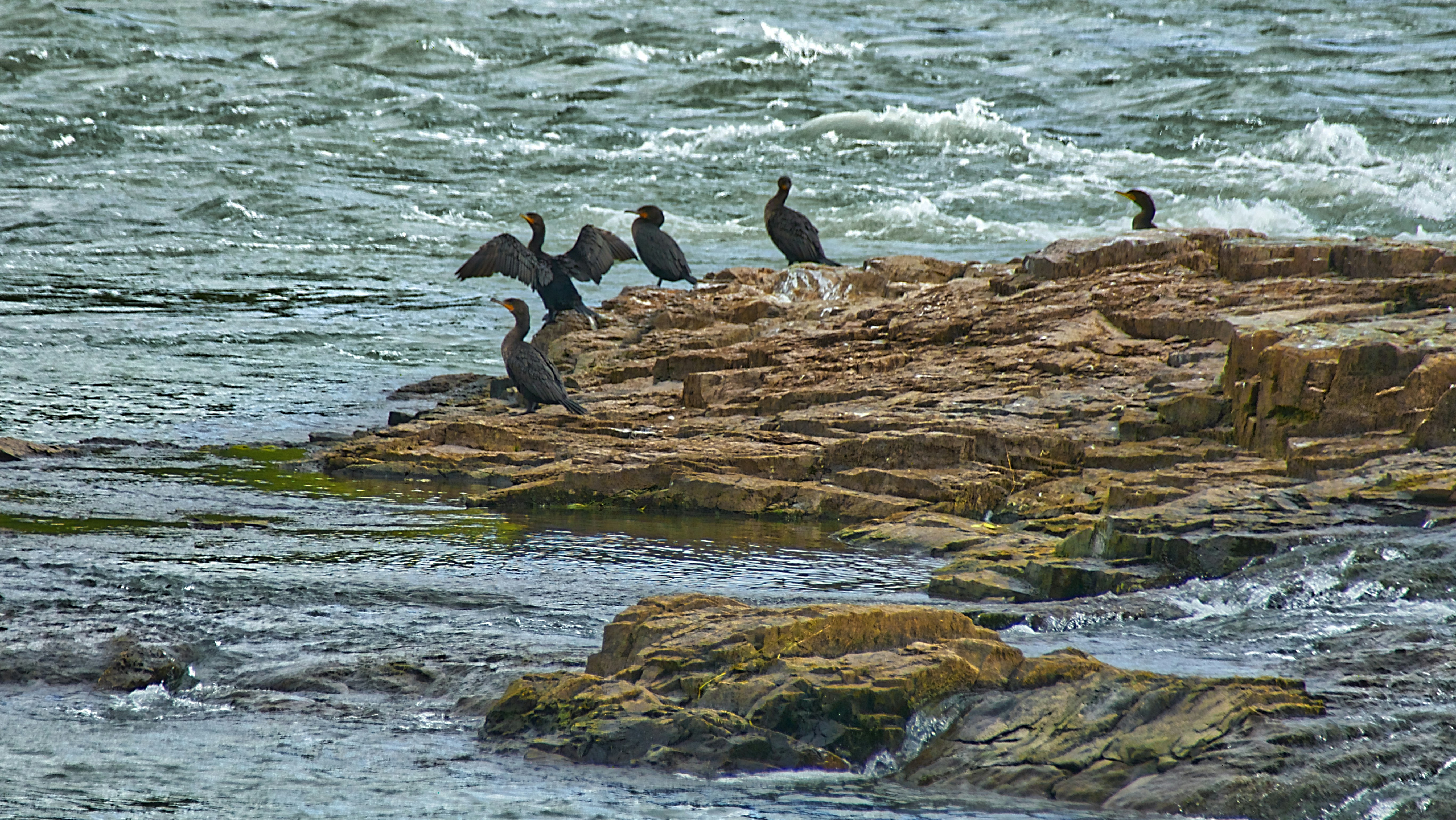 Chambly Montérégie Québec 11 best free chambly, canada, qc and