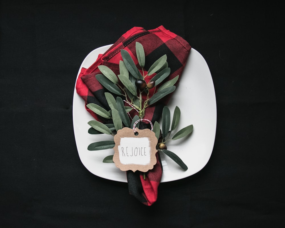 green leafed plant on white plate