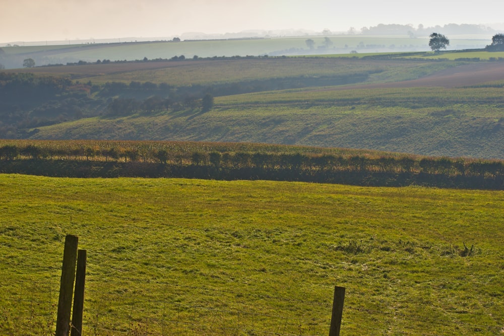 green field under grey sky