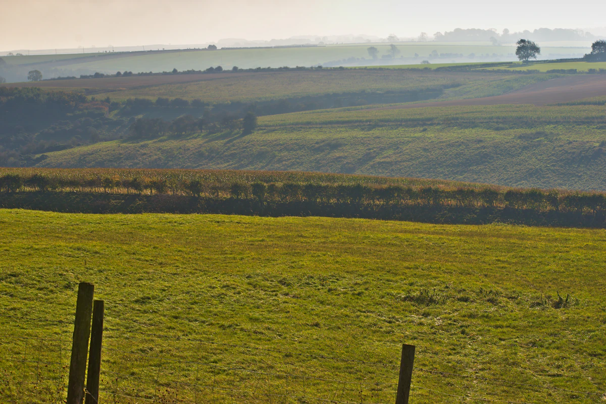 Arable & Grass Land — High Moor — photo 2