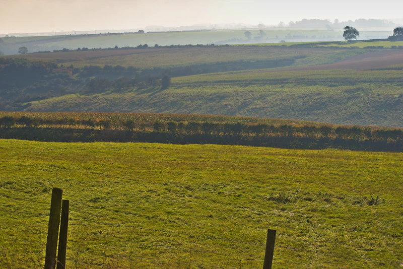 Arable & Grass Land — High Moor