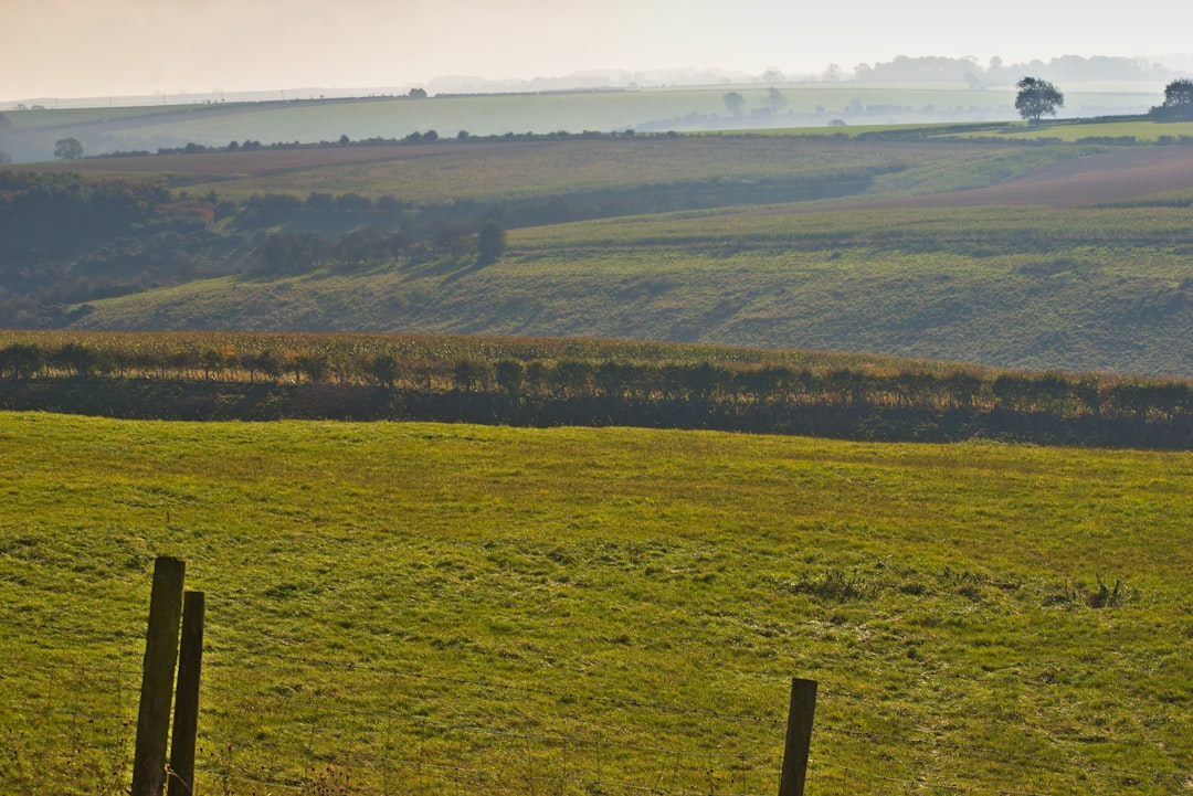 green field under grey sky, October in the Wolds