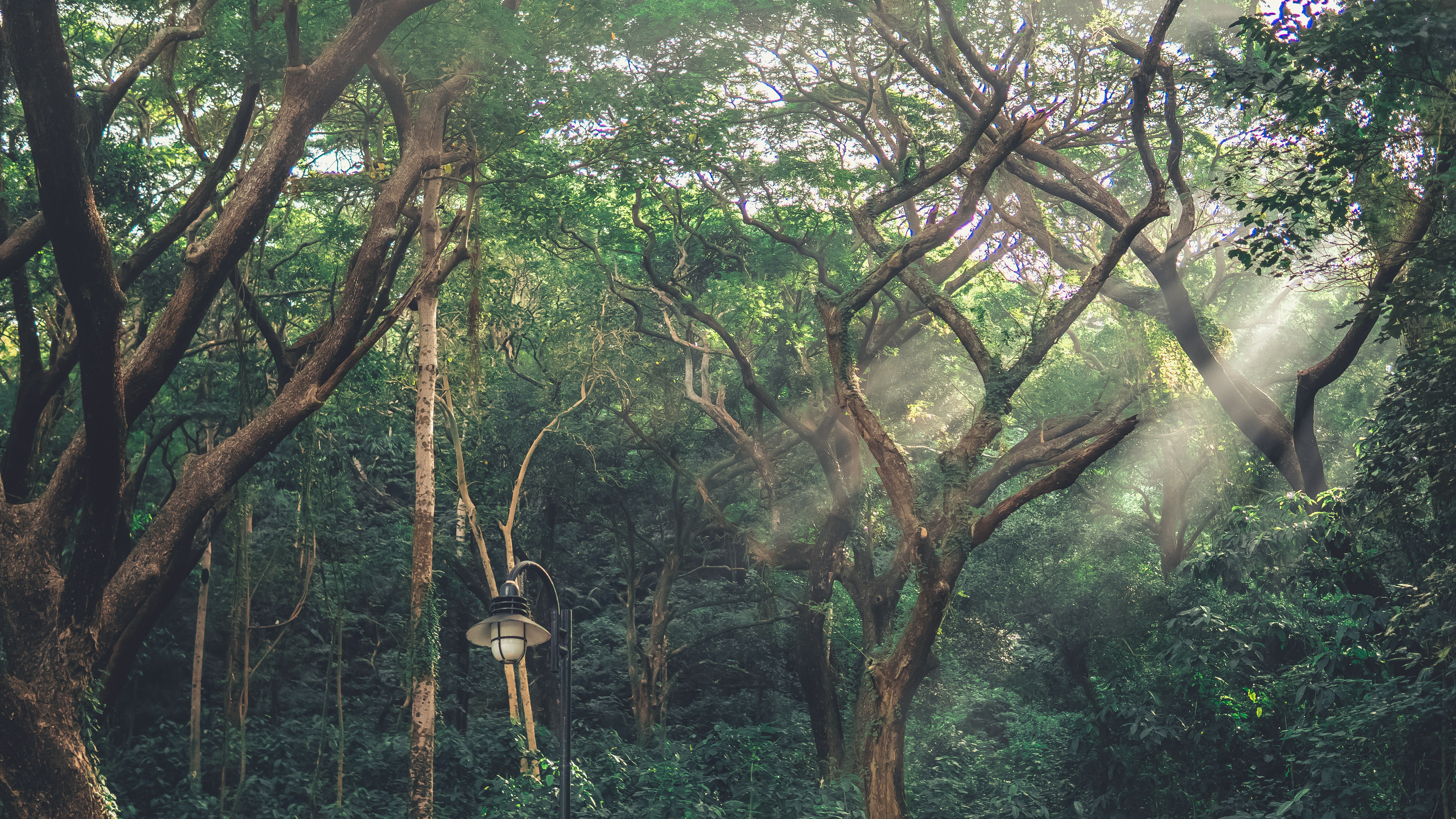 Photo by jingcleovil