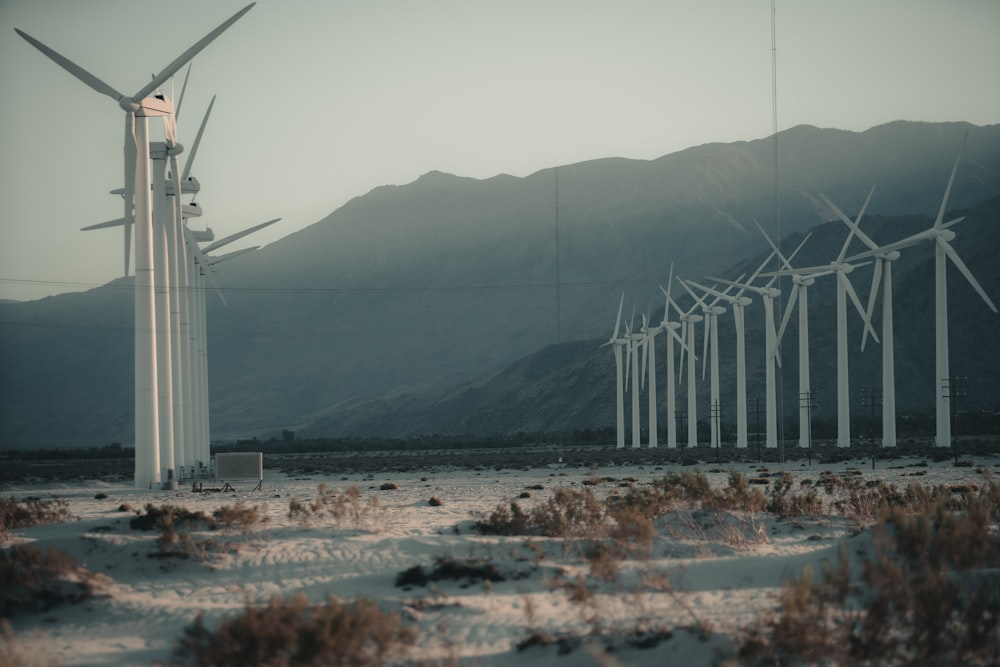 windmills on beach