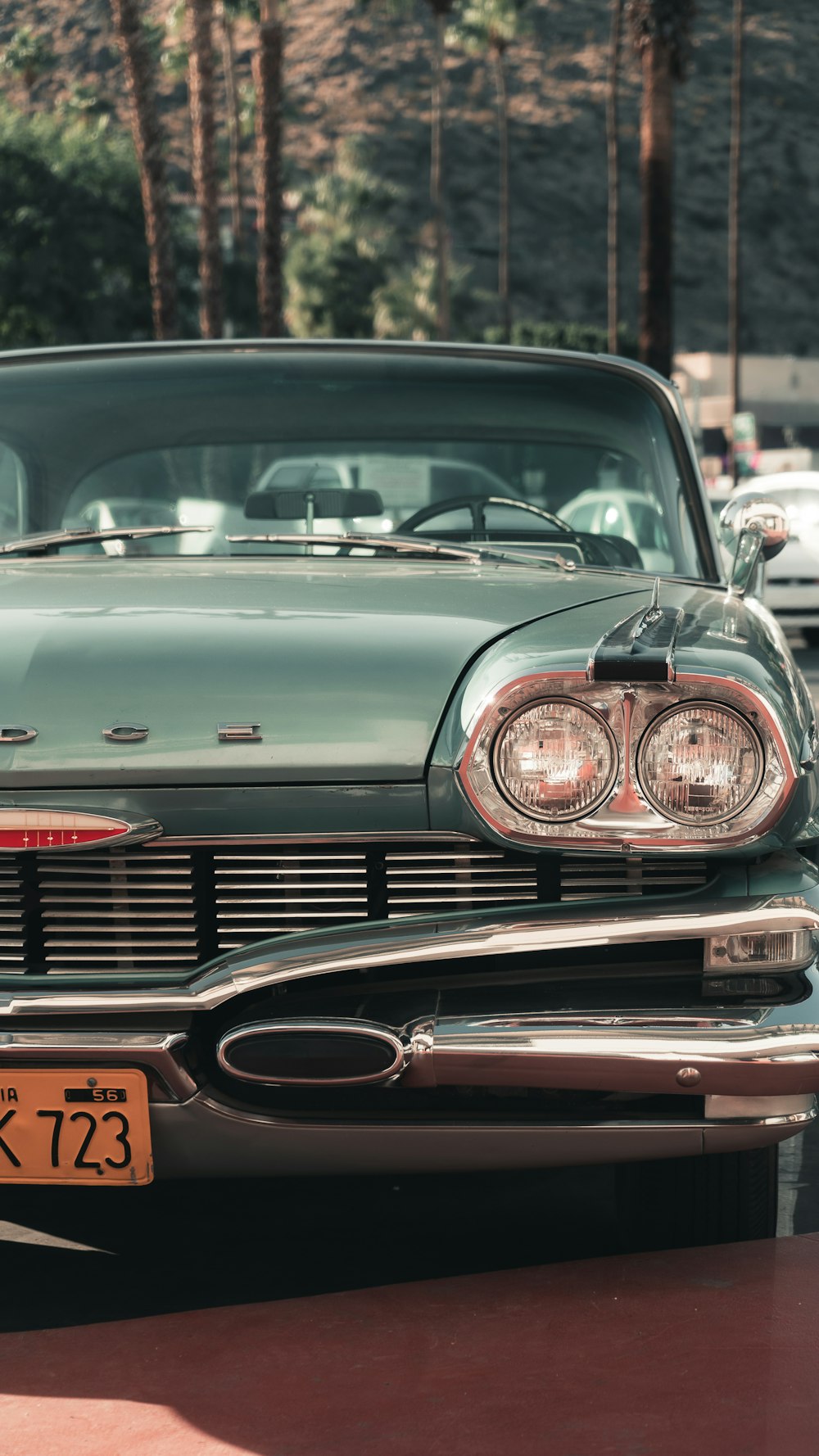 shallow focus photo of black car front-end