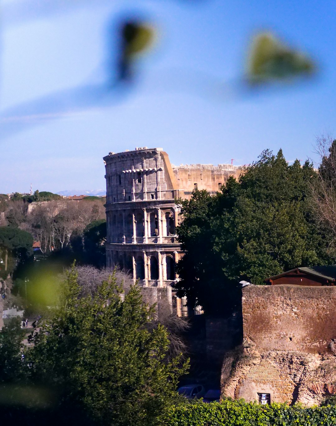 Ruins photo spot Colosseum Capitoline Museums