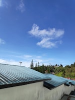 A view of a blue sky scattered with a few white clouds, above green trees and rooftops with metallic sheets. The scene is bright and clear, with tall trees in the distance and a security camera mounted on one of the rooftops.