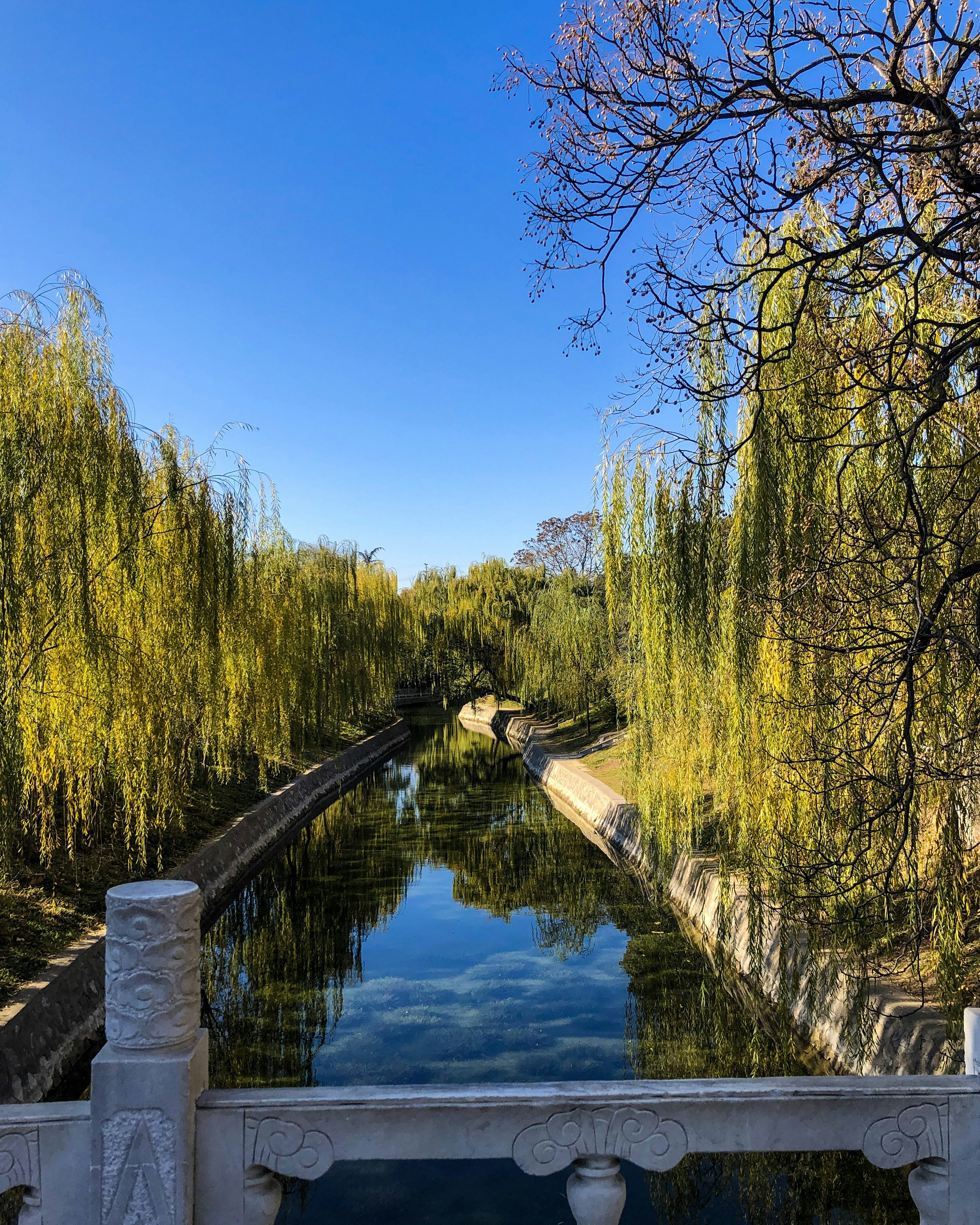 Photo by dylanhendricks