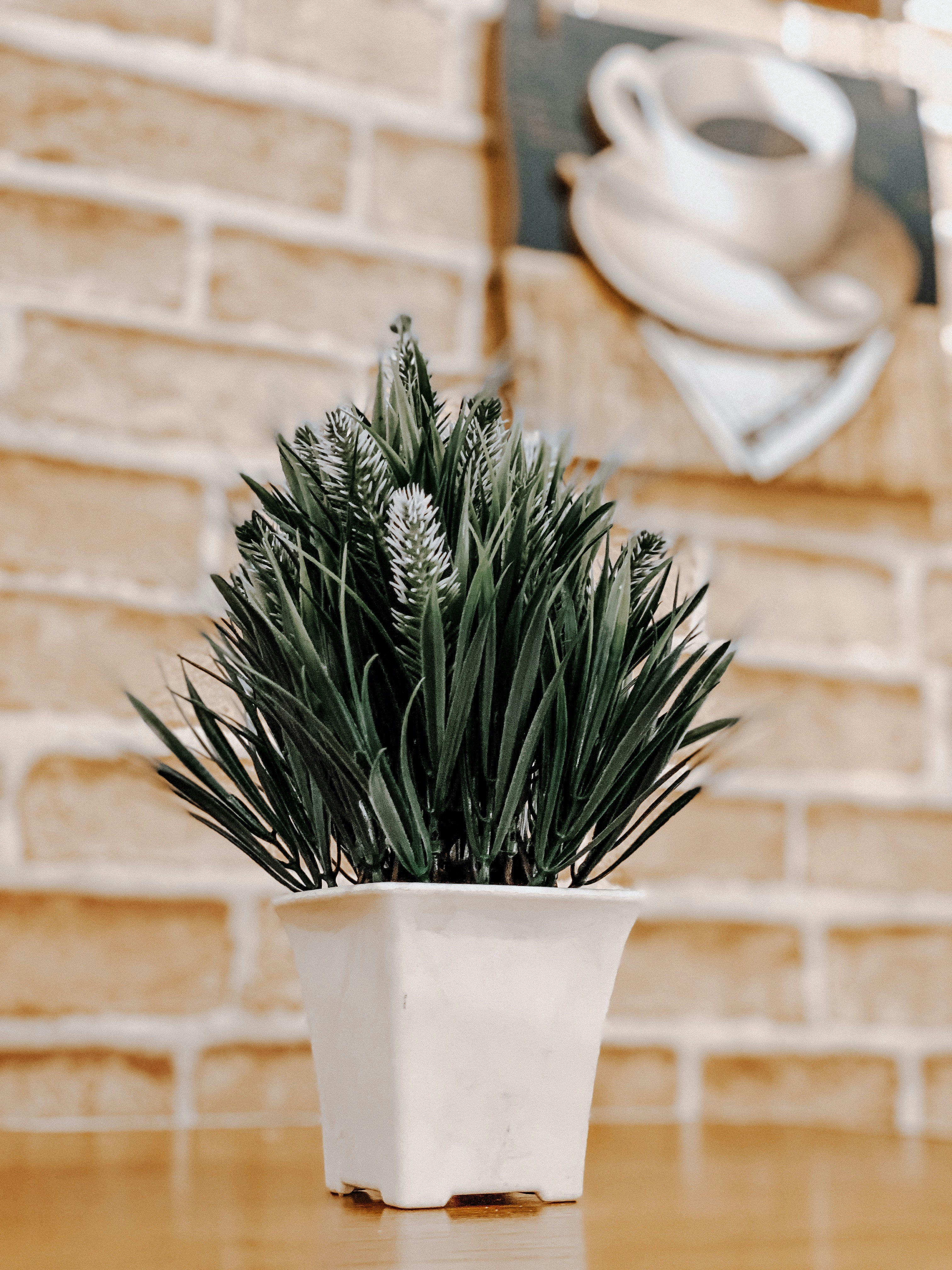 Photo by monkeydmykie