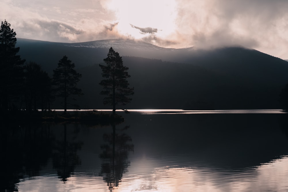 Spiegelungen von Bäumen auf dem Wasser