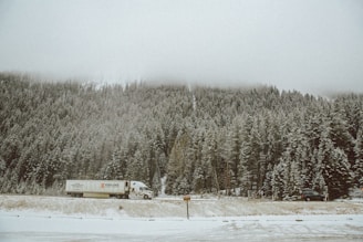 truck near trees beside mountain