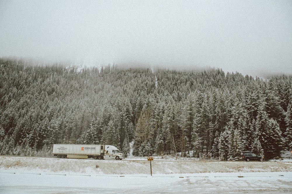 Camión cerca de los árboles al lado de la montaña