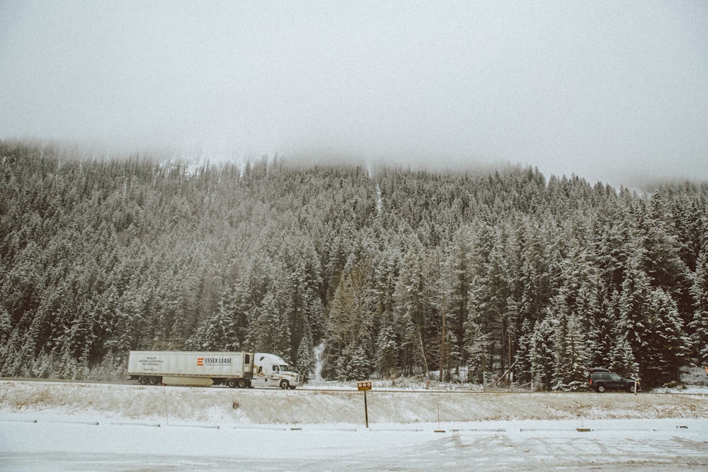 truck near trees beside mountain