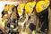 Several firefighter jackets and yellow helmets hang on hooks against a brick wall. The gear appears worn and well-used, suggesting readiness for quick access. The reflective stripes on the jackets catch the light.