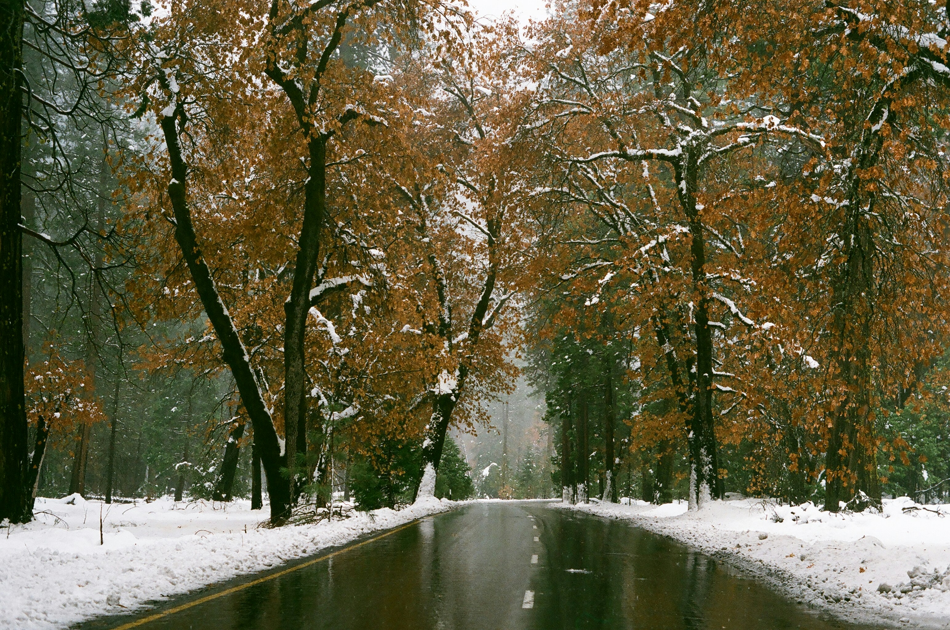 Photo by marlonbegue2