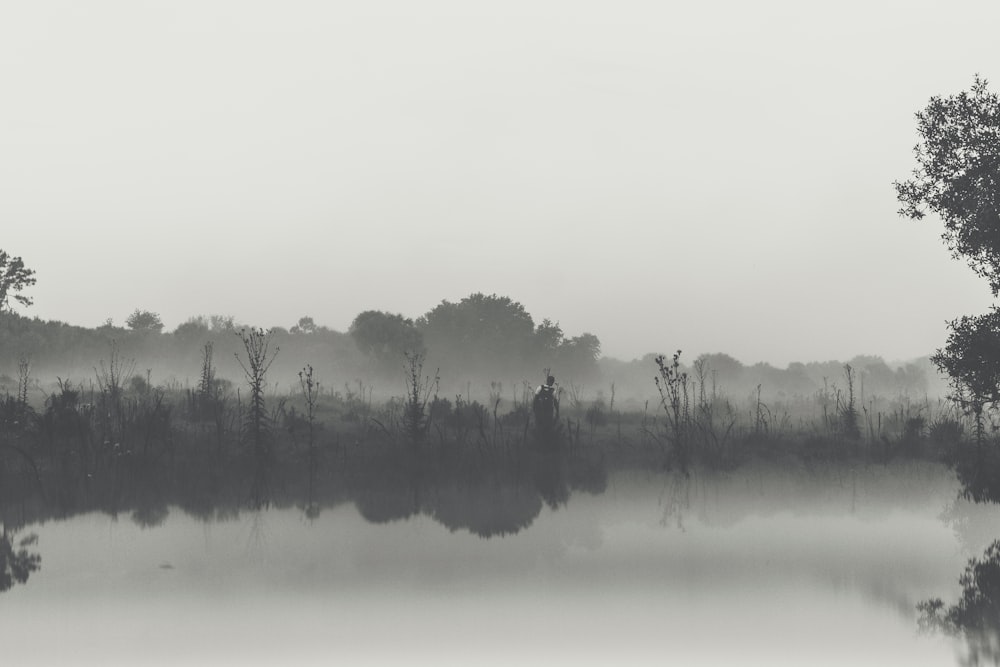 grayscale photo of water