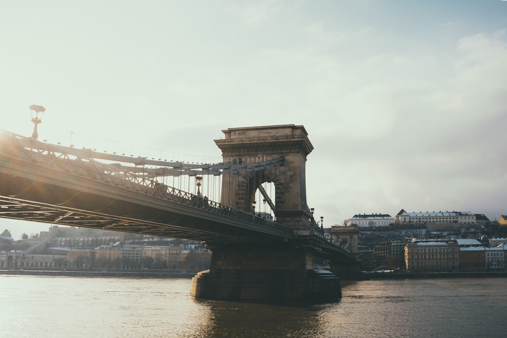 brown concrete bridge